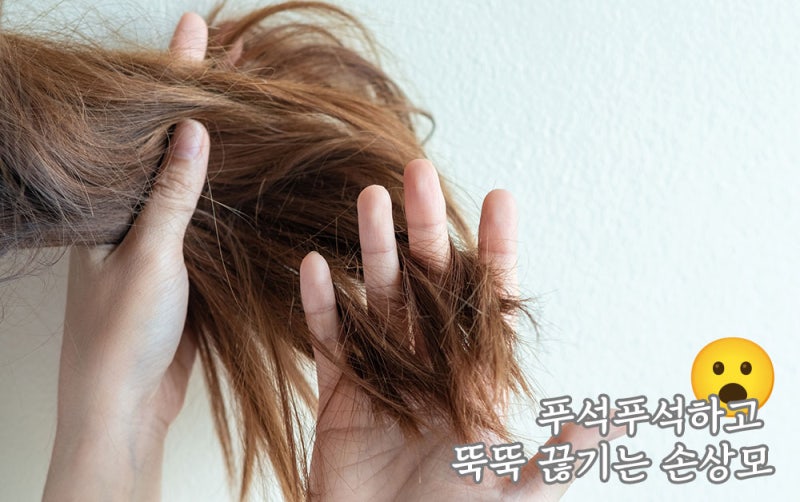 대신클리닉 이미지