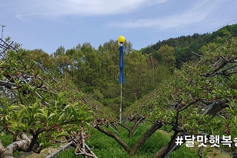 옥천꽃농원 이미지
