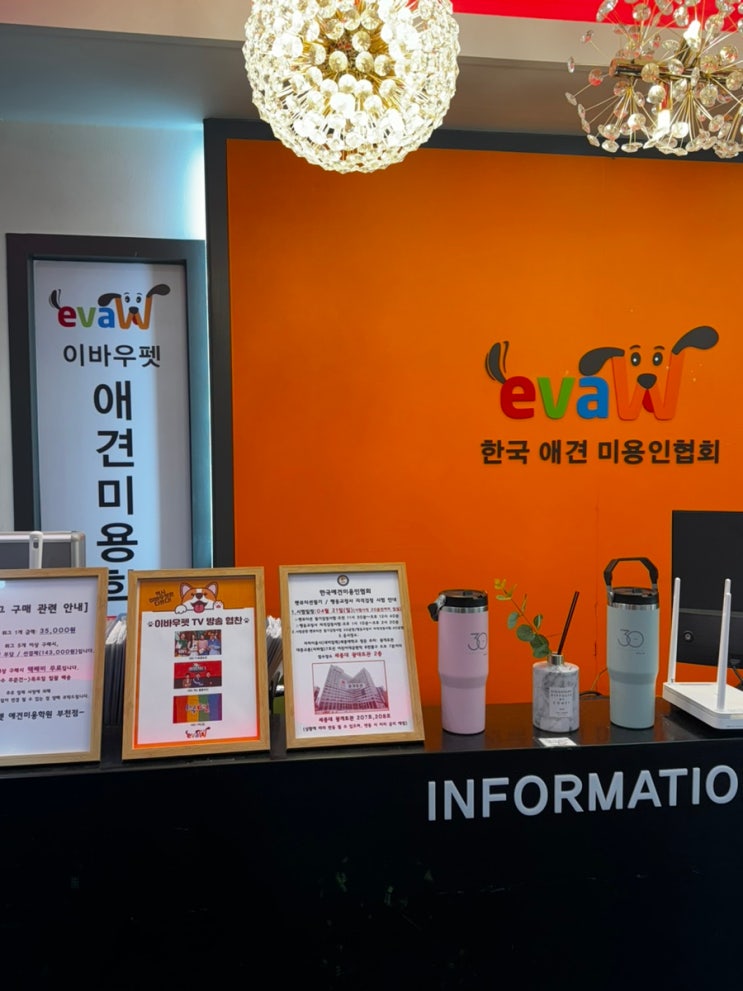  애견미용자격증학원 애견미용사로 취업할 수 있을까?