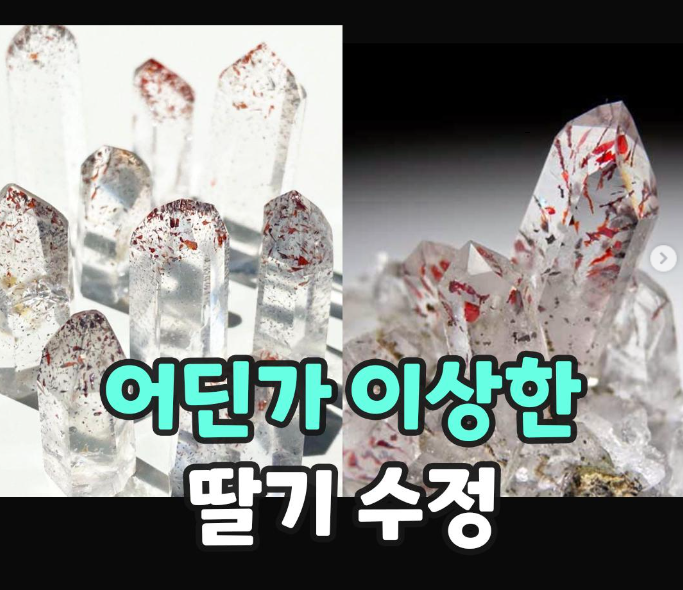  어딘가 이상한 딸기 수정