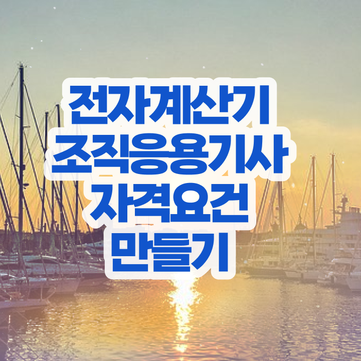  전자계산기조직응용기사 시험응시조건 집에서 온라인으로 편하게 끝낸 전략