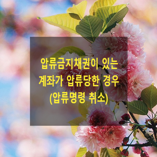  압류금지채권(보훈연금)이 있는 계좌가 압류당한 경우(압류명령 취소)