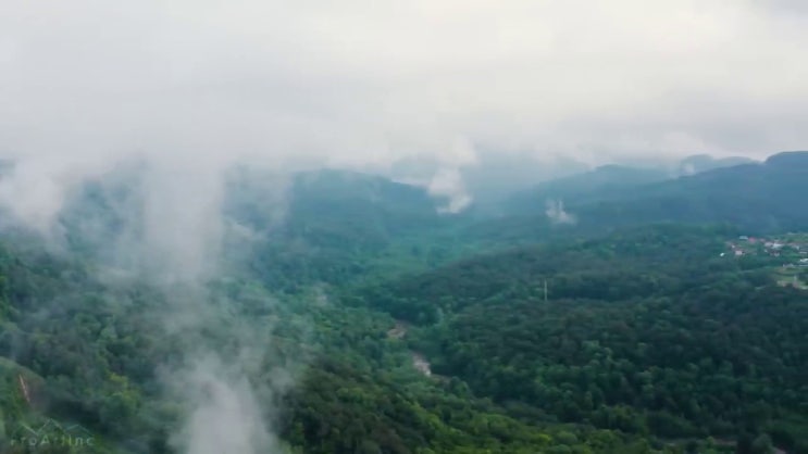  산림산업기사 필기 준비 산림산업기사 취득자격 독학으로 간편하게 완료한 과정