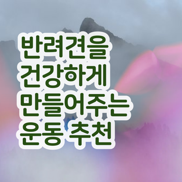  반려견운동지도사 온라인 교육 , 반려견운동지도사 직장인도 쉽게 취득 노하우 정보 필요하시죠