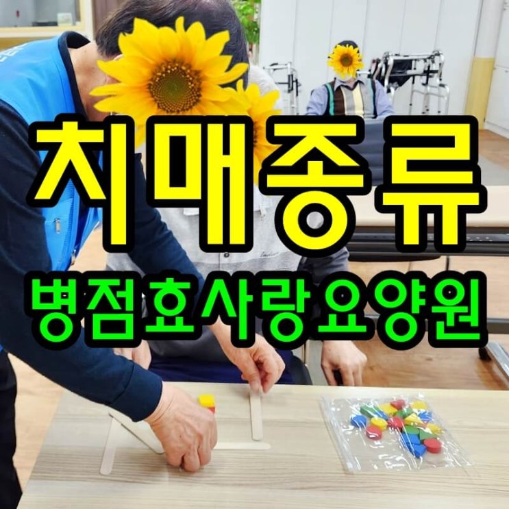  병점요양원/병점효사랑요양원/병점동요양원/치매의 종류