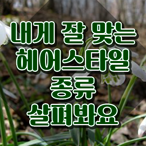 커트지도사 강의 , 커트지도사 자격증 쉽고 간편하게 취득한 방법 , 채용 정보