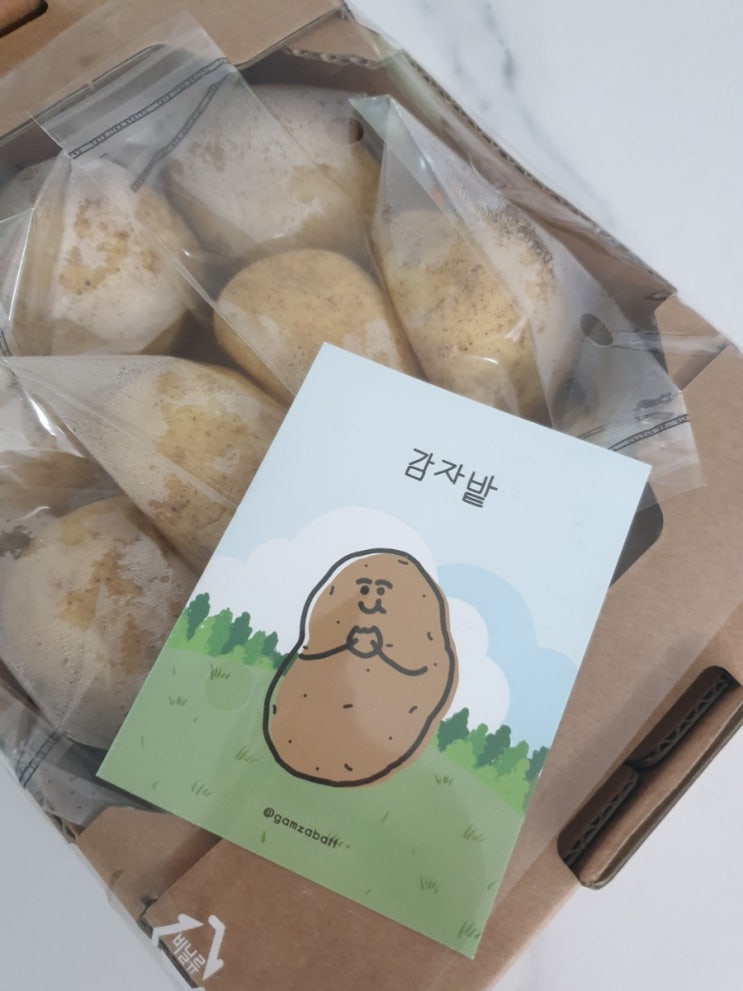  춘천 감자밭 감자빵 울산 롯데백화점에서 구매후기