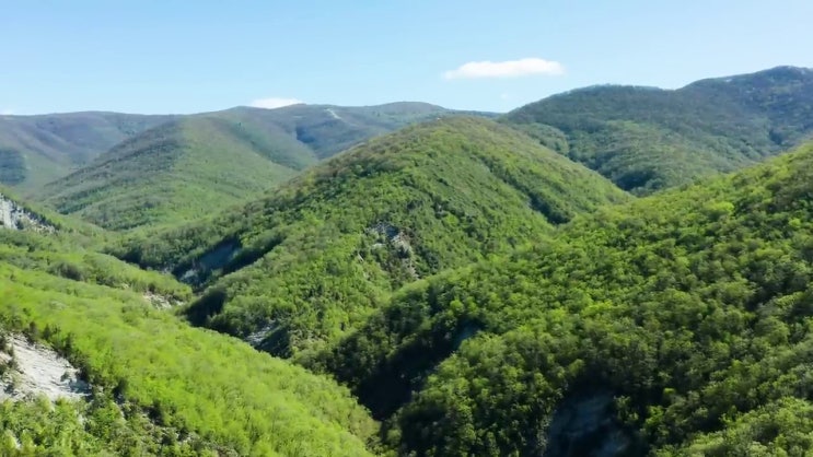  버섯산업기사 하는일 버섯산업기사 응시조건 집에서 온라인으로 4달만에 성공한 방법