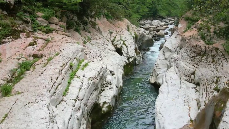  반려동물관리사1급교육 , 반려동물관리사 자격증 독학으로 취득한 과정 정보를 알고싶다면