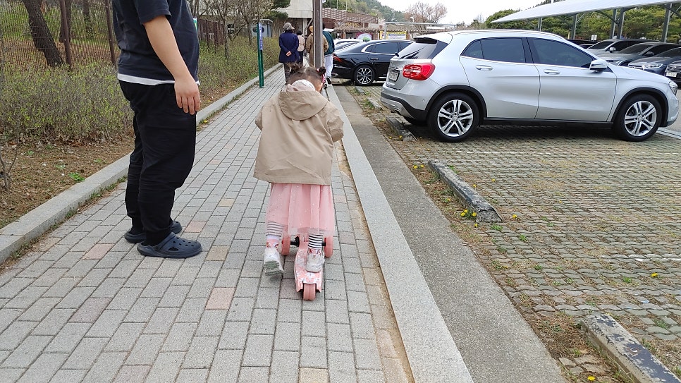 육갑 사진 3