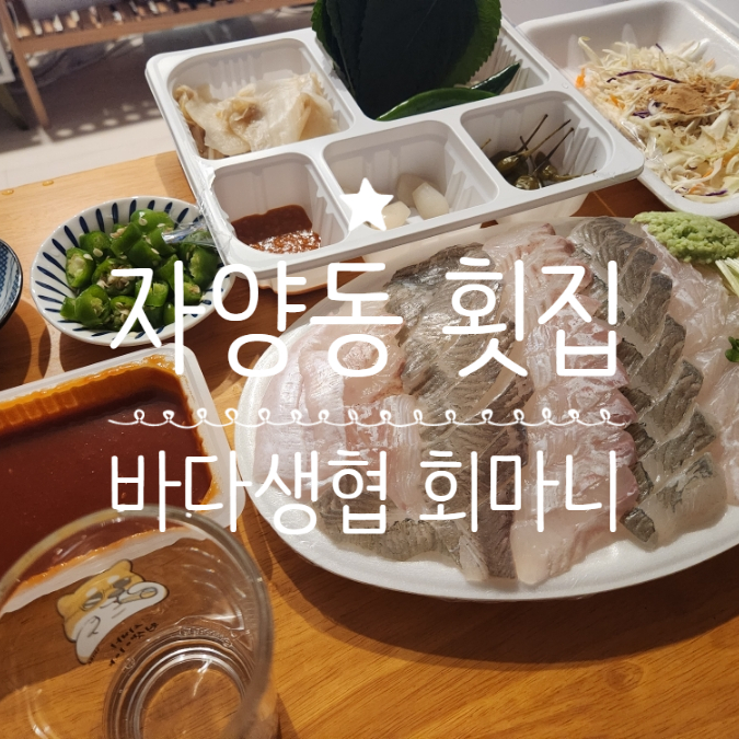  자양동 횟집 바다생협 자양점 배달후기 내돈내산
