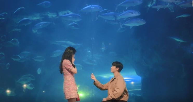  눈물의여왕 홍해인 백현우 기적같은 사랑 로맨스