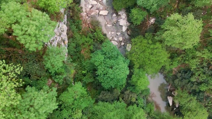  한식조리산업기사필기 한식조리산업기사 시험응시조건 독학으로 빠르게 준비했던 후기