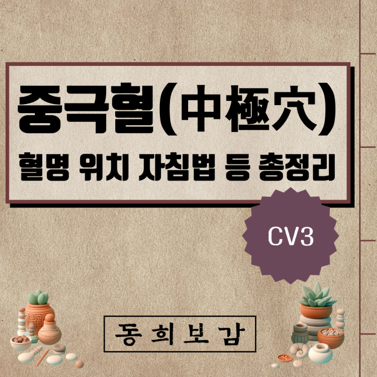  중극혈(中極穴) CV3, 소속경맥 혈명 위치 특성 자침법 등 총정리