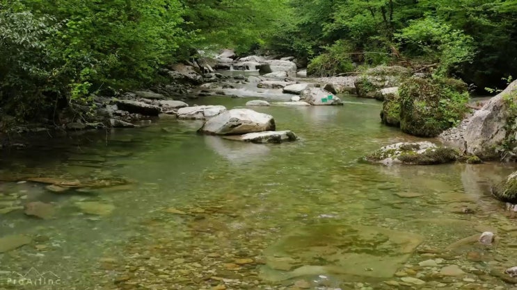  부동산 교육과정 , 부동산권리분석사자격증 합격한 팁 , 취업후기