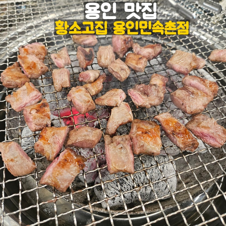  용인민속촌 맛집 황소고집의 매력 넘치는 두툼한 통 갈매기살 솔직한 리뷰