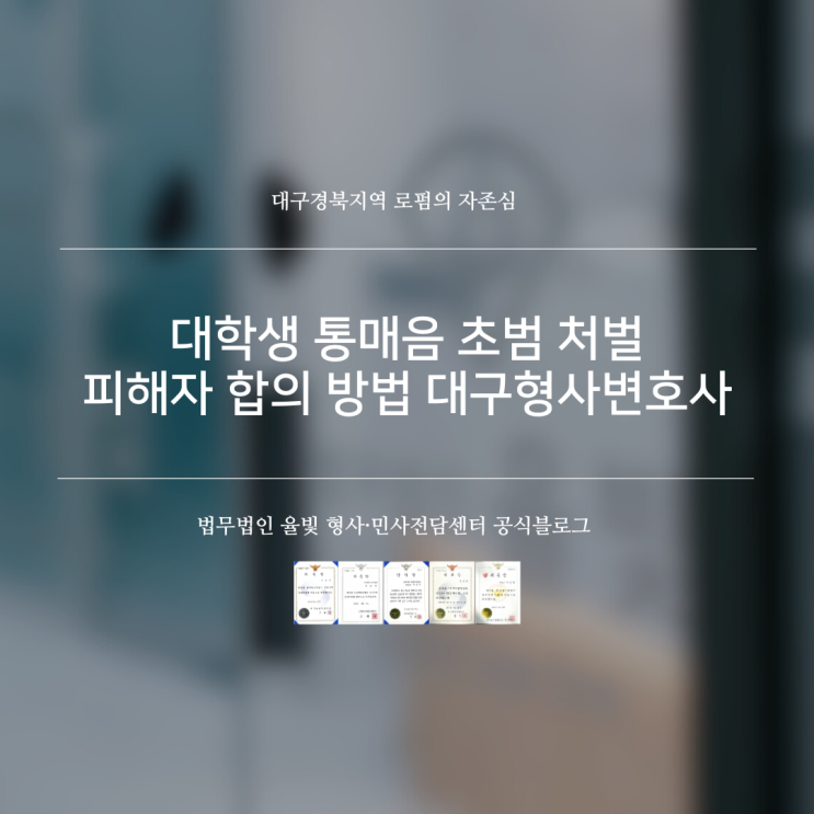  대학생 통매음 초범 처벌 피해자 합의 방법 대구형사변호사