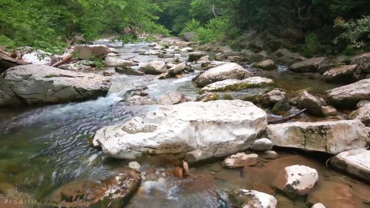  방과후교사자소서 , 방과후지도사자격증 공부한 방법 및 활용방법