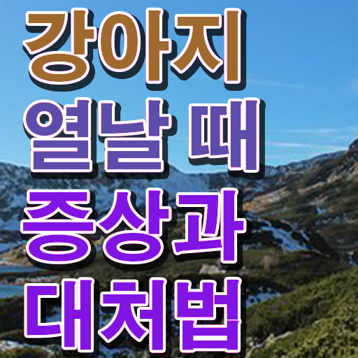  1급반려동물관리사자격증따기 , 반려동물관리사 자격증 직장인도 쉽게 학습한 후기 및 취업 전망