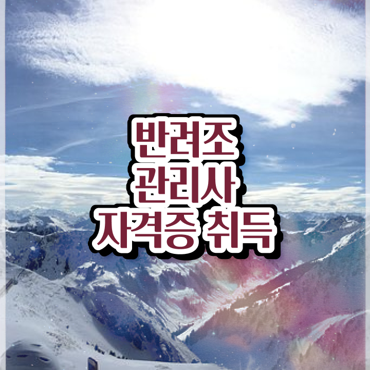  왕관앵무새 분양 , 반려조관리사 자격증 쉽고 간편하게 합격한 팁 , 취업