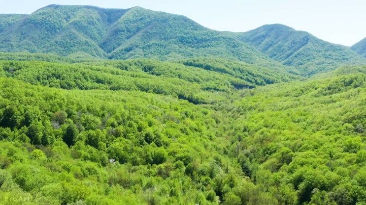  산업안전기사필기합격률 산업안전기사 자격요건 온라인으로 15주 동안 준비한 과정