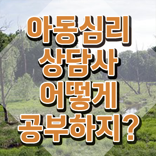  아동심리상담사기출문제 , 아동심리상담사 자격증 상세한 준비한 방법 및 활용 방법