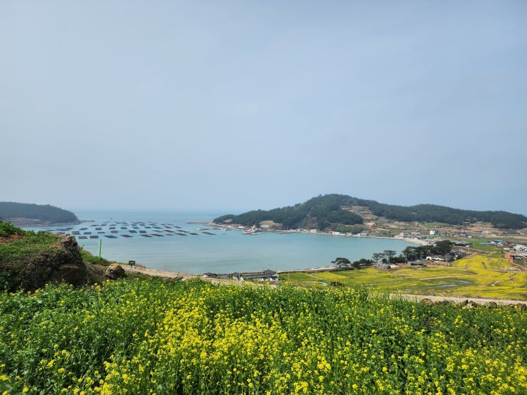 청산도 슬로시티여행으로 가볼만한 곳 서편제마을 당리 청산도 슬로시티여행으로 가볼만한 곳 서편제마을 당리