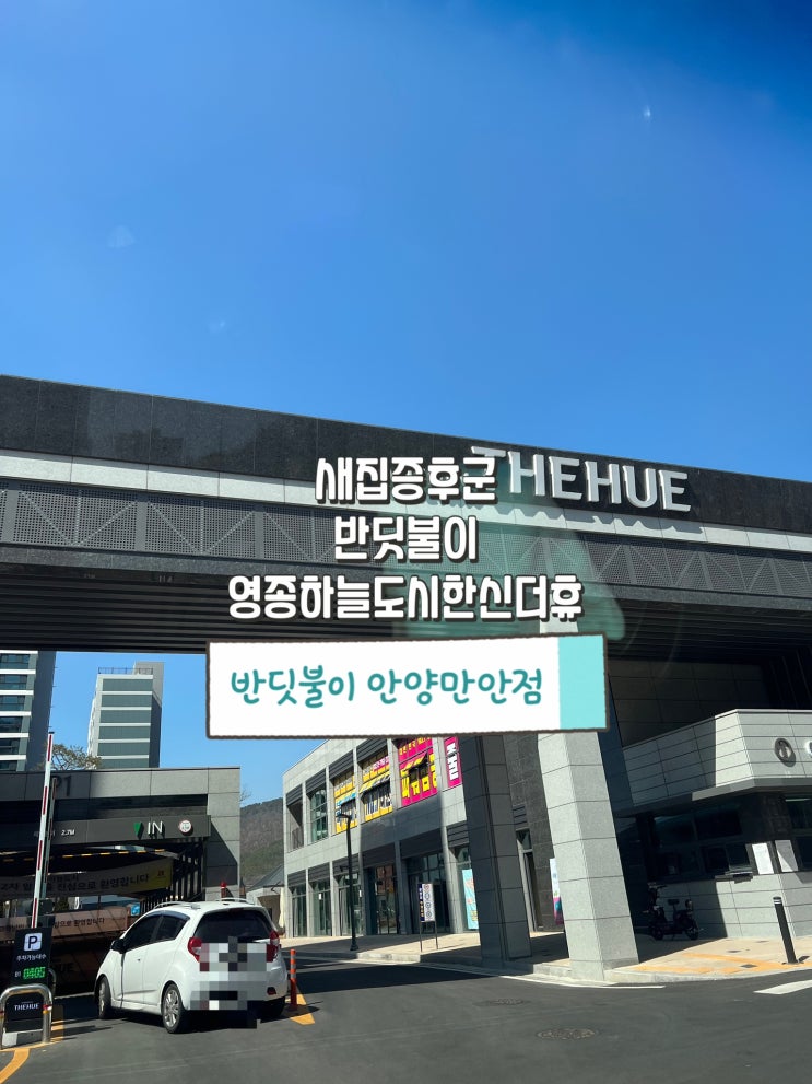  반려견이 알러지가 심해서 영종하늘도시한신더휴2차 반딧불이 새집증후군 시공해요!