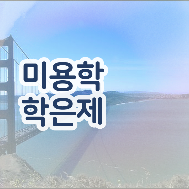  헤어디자이너 과정 , 종합미용자격증 비싼 학원비,재료비 들이지 않고 8개월 만에 준비했어요
