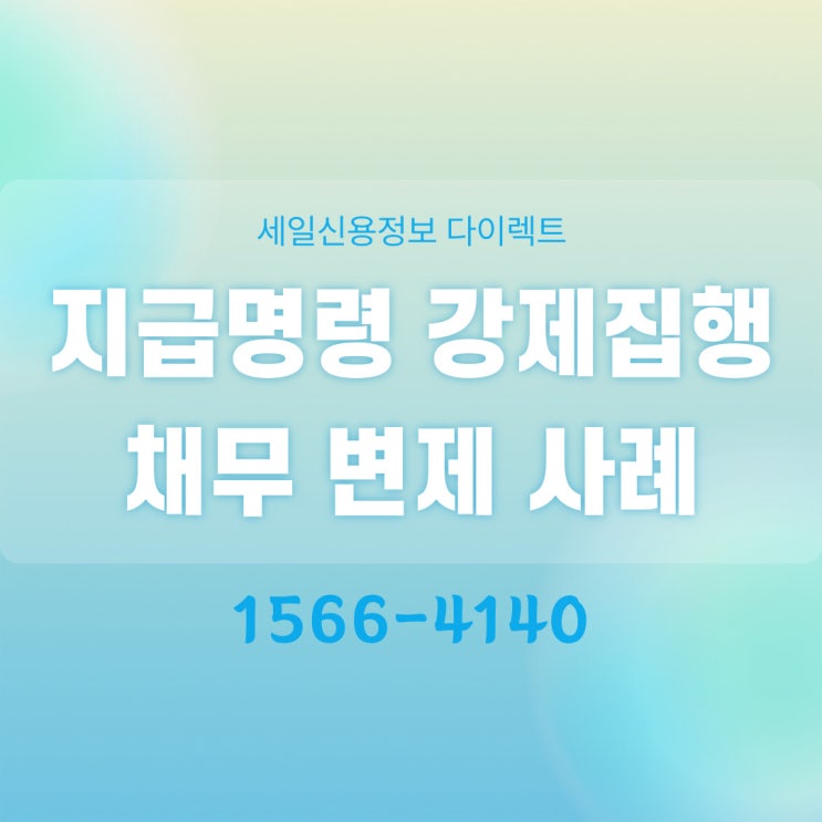  지급명령 확정 채무 변제 사례