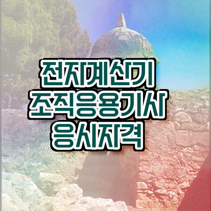  전자계산기조직응용기사 자격요건 독학으로 1학기 만에 끝냈던 전략