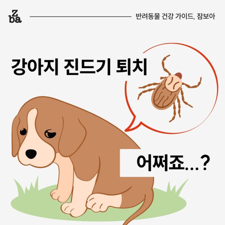  강아지 진드기 물렸을 때 모르면 큰일!