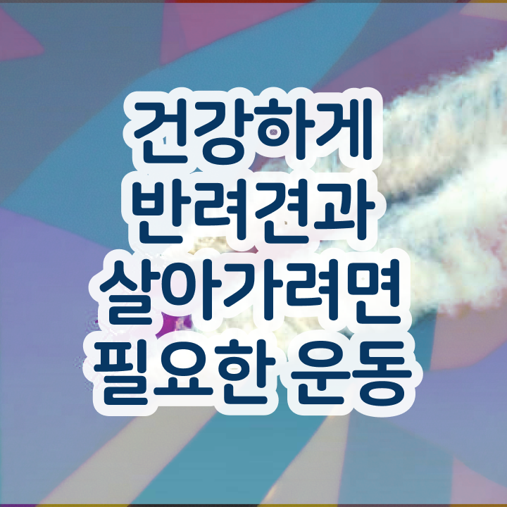  반려견운동지도사 무료 인강 , 반려견운동지도사 15일 만에 취득방법