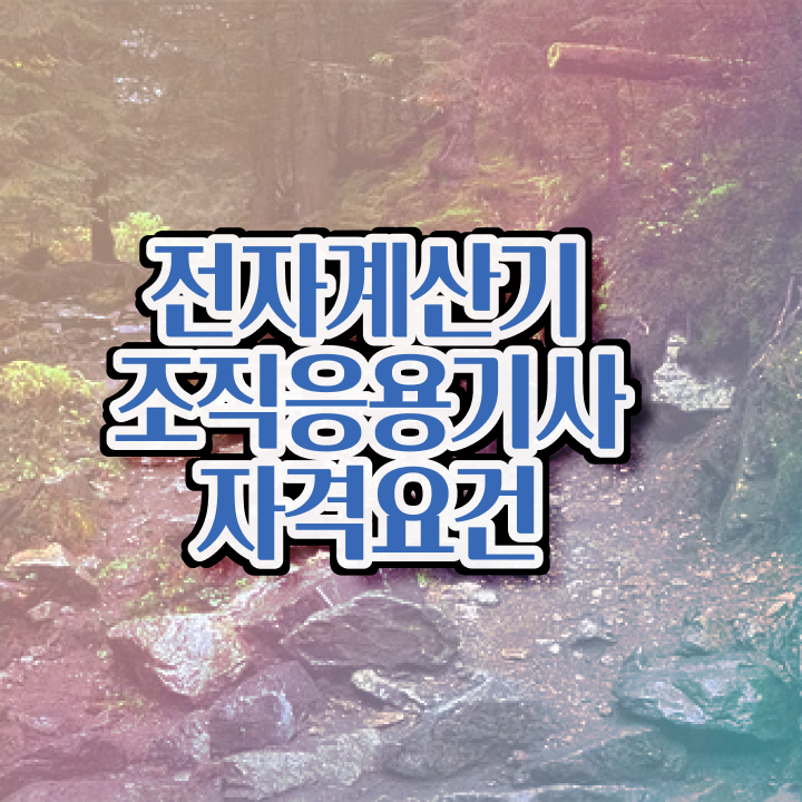  전자계산기조직응용기사 시험자격 집에서 온라인으로 5달만에 준비했던 노하우