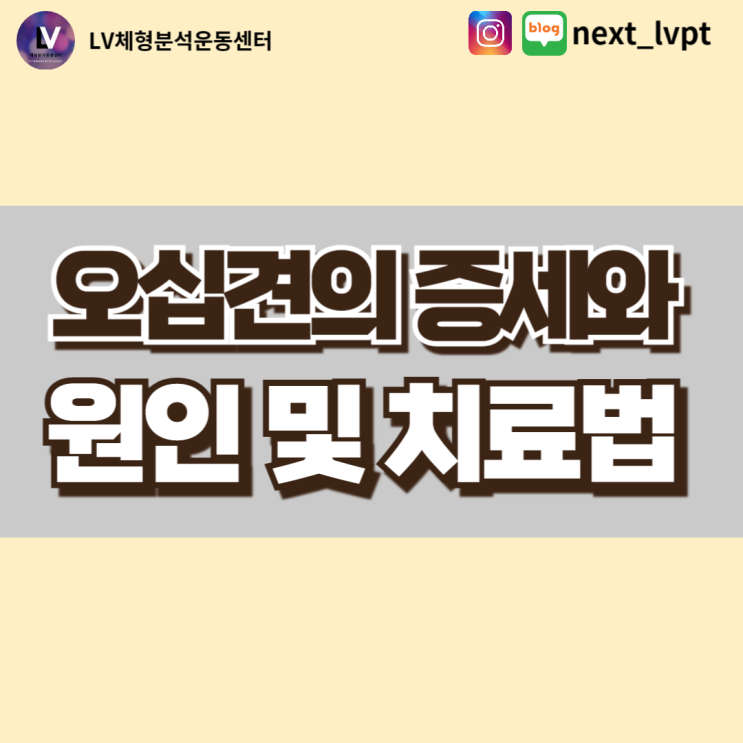  오십견의 증세와 원인 및 치료법(부산 오십견)
