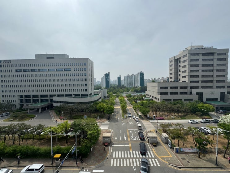  안산 외국인음주운전 변호사, 출국명령 강제퇴거 막기 힘든 이유?