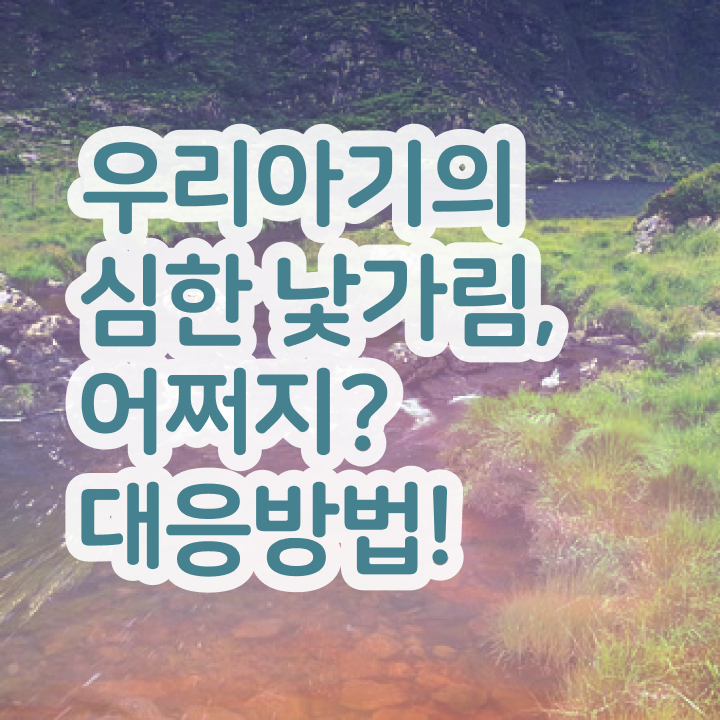  아동소통지도사 클래스 , 아동소통지도사 자격증 취득한 노하우 정보를 알고싶다면