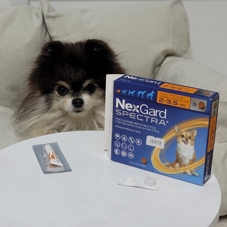  고양이 강아지 심장사상충약 복용방법 내부 외부 기생충약
