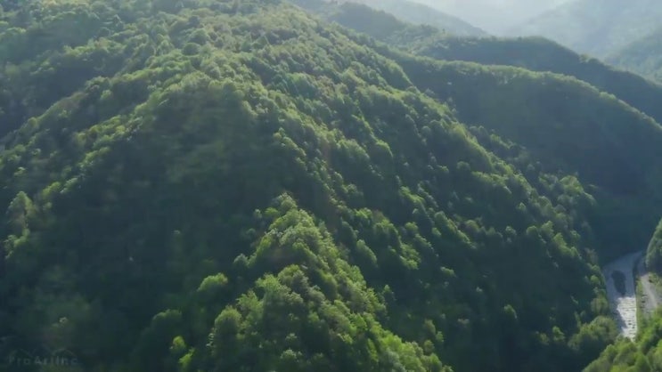  학점은행제 독학사 , 학점은행제 플래너 이 부분만 확실하게 결정하세요