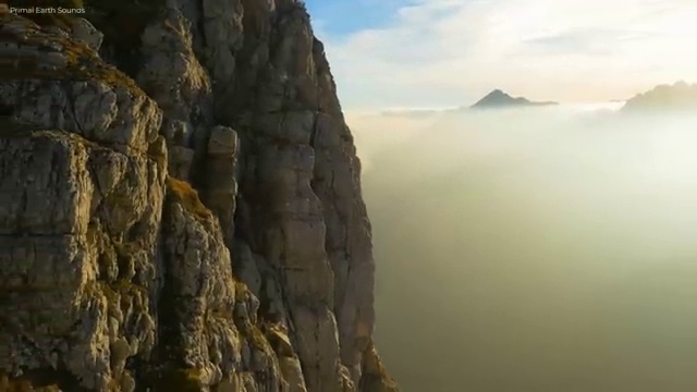  산림산업기사 취업 산림산업기사 자격요건 인강으로 15주만에 성공한 팁