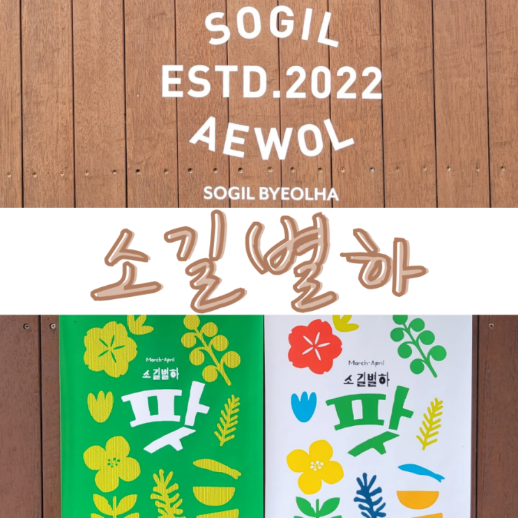  제주 소길댁 효리네 민박에서 탈바꿈한 소길별하