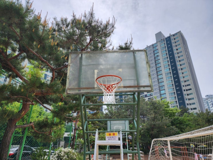  [날개스포츠] 남양주도농초교 농구림 교체, 농구림 보수 작업