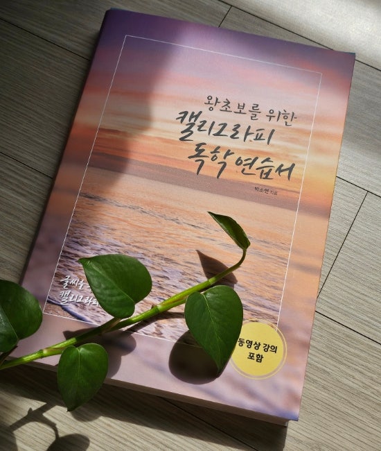 글씨를 수놓다 캘리그라피 글씨체 독학으로 배우기