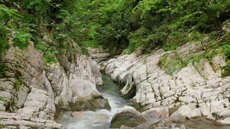  가스산업기사 선임 가스산업기사 취득자격 온라인 수업으로 15주만에 갖췄던 팁