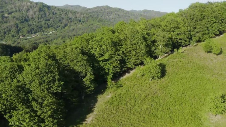  학점은행제 교육기관 , 학점은행제 학습플래너 덕분에 희망하던 공부를 시작했습니다.