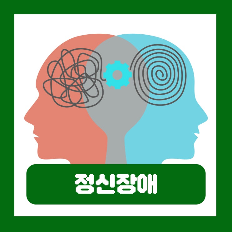  정신장애 NOS 양극성장애 종류 원인 치료 군대