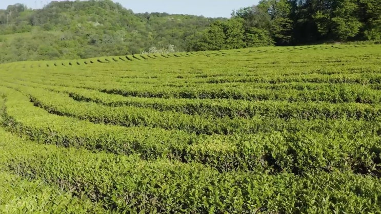  버섯산업기사 필기 독학 버섯산업기사 취득자격 온라인 수업으로 빠르게 준비한 방법
