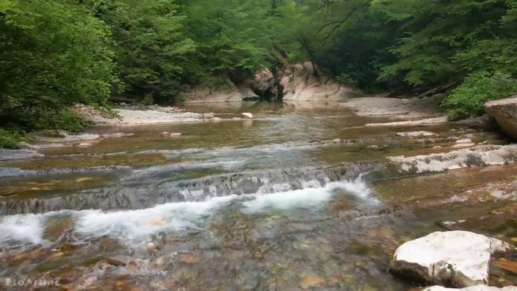  관련학과 아니어도 단기간에 사회복지사 자격증을 준비하고 취업한 전략