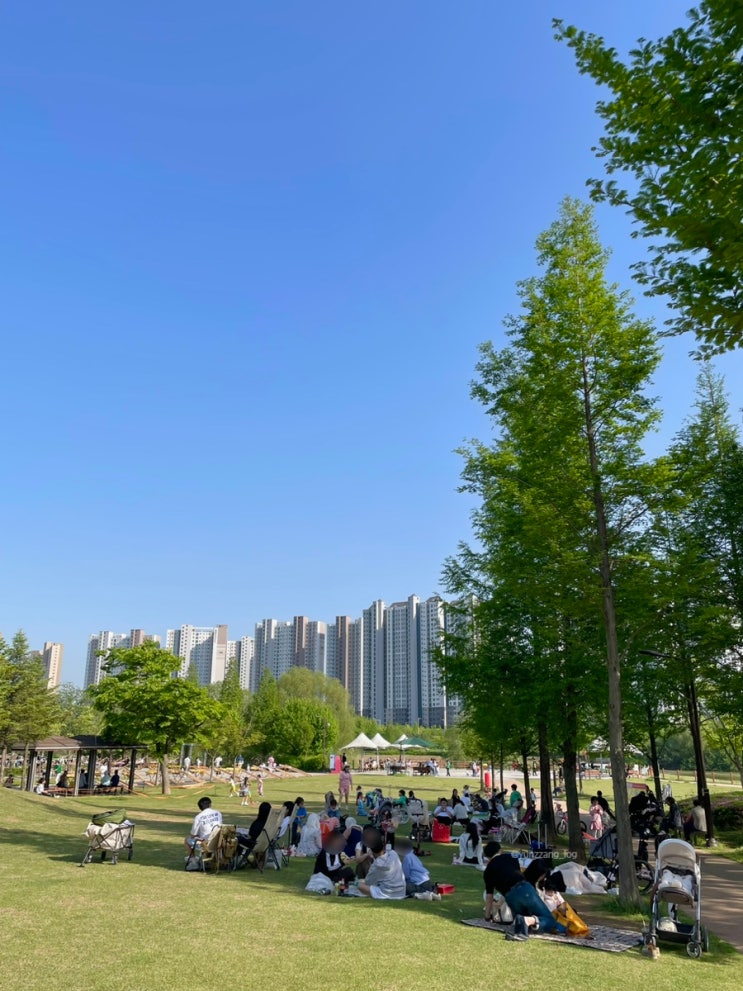  평택 소사벌 배다리근린공원 피크닉 후기, 소사벌 무료 주차장 공유 (죽백동 799)