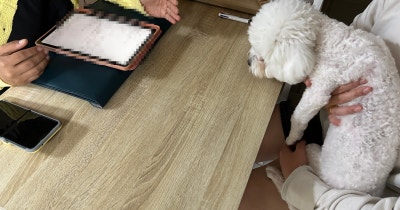 좋은날 애견방문훈련 — 해운대구